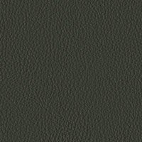 合勝辦公傢俬悠翔沙發TP-LZ58 蒼嶺綠飾面